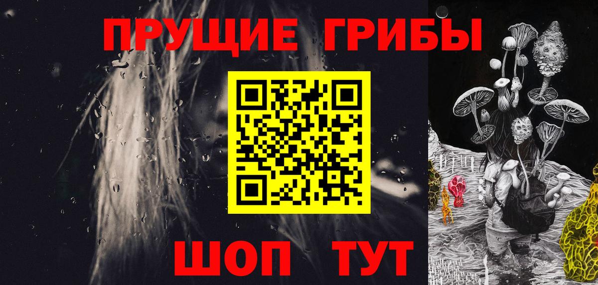 Галлюциногенные грибы MAGIC MUSHROOMS  Галлюциногенные грибы Psilocybine cubensis  где найти   Волжск  Вход с VPN 